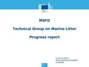 MSFD Technical Group on Marine Litter Progress report