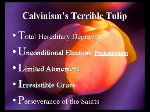 Calvinisms Terrible Tulip Total Hereditary Depravity Unconditional Election