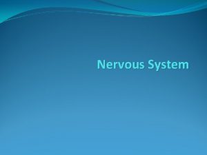 Nervous System Vertebrate Nervous Systems Two major subsystems