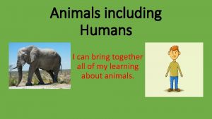 Animals including Humans I can bring together all