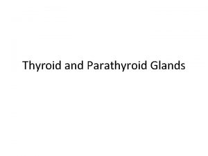 Thyroid and Parathyroid Glands Thyroid Gland This gland