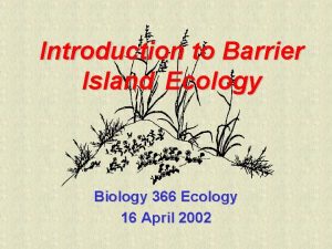 Introduction to Barrier Island Ecology Biology 366 Ecology