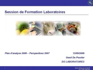 Session de Formation Laboratoires Plan danalyse 2006 Perspectives