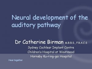 Neural development of the auditory pathway Dr Catherine