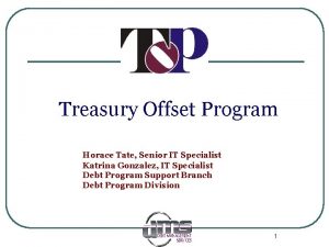 Treasury Offset Program Horace Tate Senior IT Specialist
