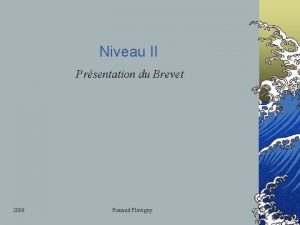 Niveau II Prsentation du Brevet 2006 Renaud Flavigny