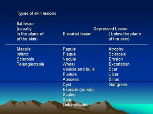 Types of skin lesions flat lesion usually in