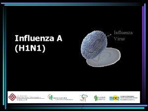 Influenza A H 1 N 1 Influenza Virus