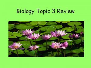 Biology Topic 3 Review Phylogenic tree Dichotomous Keys