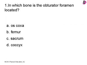 1 In which bone is the obturator foramen