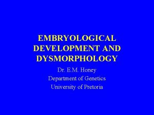 EMBRYOLOGICAL DEVELOPMENT AND DYSMORPHOLOGY Dr E M Honey