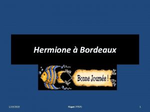 Hermione Bordeaux 1192022 Riquet 77570 1 LHermione est