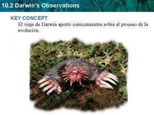 10 2 Darwins Observations KEY CONCEPT El viaje