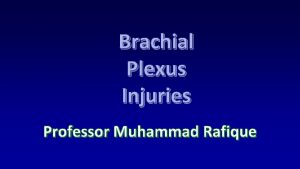 Brachial Plexus Injuries Professor Muhammad Rafique Typical Spinal