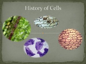 History of Cells Robert Hooke A British scientist