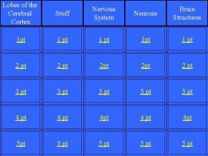 Lobes of the Cerebral Cortex Stuff Nervous System