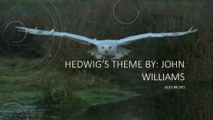 HEDWIGS THEME BY JOHN WILLIAMS ALEX MOYES COMPOSER