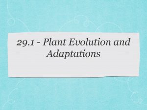 29 1 Plant Evolution and Adaptations Plant Evolution