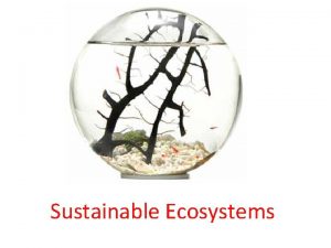 Sustainable Ecosystems What is a sustainable ecosystem Sustainability