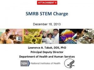 ATTACHMENT 8 SMRB STEM Charge December 18 2013