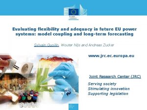 Evaluating flexibility and adequacy in future EU power