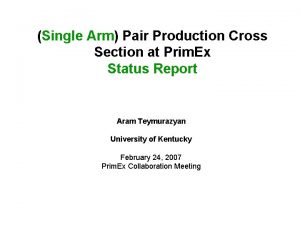 Single Arm Pair Production Cross Section at Prim