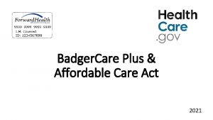 Badger Care Plus Affordable Care Act 2021 Badger