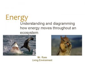 Energy Understanding and diagramming how energy moves throughout