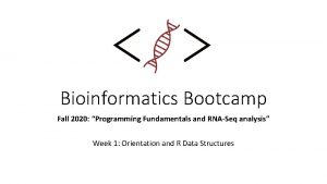 Bioinformatics Bootcamp Fall 2020 Programming Fundamentals and RNASeq