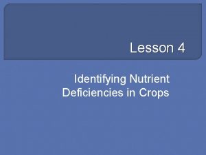 Lesson 4 Identifying Nutrient Deficiencies in Crops Next