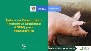 ndice de Desempeo Productivo Municipal IDPM para Porcicultura