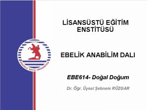 LSANSST ETM ENSTTS EBELK ANABLM DALI EBE 614