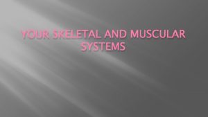 YOUR SKELETAL AND MUSCULAR SYSTEMS Your Skeletal System