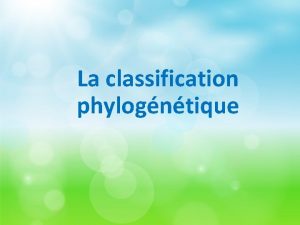 La classification phylogntique La classification phylogntique La classification