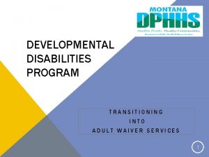 DEVELOPMENTAL DISABILITIES PROGRAM TRANSITIONING INTO ADULT WAIVER SERVICES