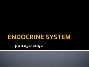 ENDOCRINE SYSTEM pp 1031 1042 Homeostasis Homeostasis maintaining