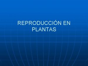 REPRODUCCIN EN PLANTAS REPRODUCCIN ASEXUAL A partir de