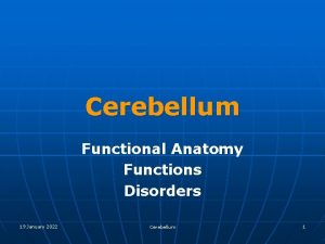 Cerebellum Functional Anatomy Functions Disorders 19 January 2022