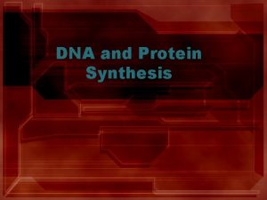 DNA and Protein Synthesis What is DNA Contains