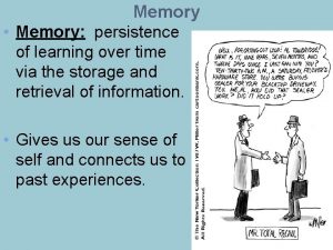 Memory Memory persistence of learning over time via