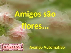 Amigos so flores Avano Automtico So flores plantadas