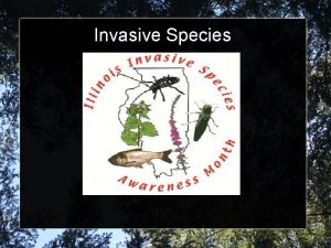 Invasive Species Invasive Species What is an Invasive