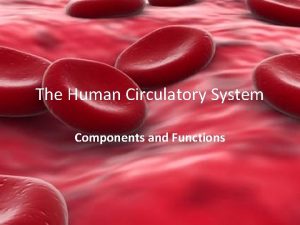 The Human Circulatory System Components and Functions Components