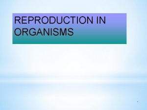 REPRODUCTION IN ORGANISMS LIFE SPAN ORGANISMS May fly