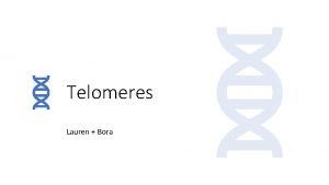 Telomeres Lauren Bora Telomeres are small portions of