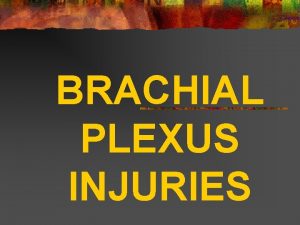 BRACHIAL PLEXUS INJURIES REVIEW OF BRACHIAL PLEXUS Contents