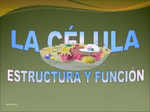 19012022 CLULA Unidad bsica morfolgica fisiolgica bioqumica y