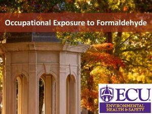 Occupational Exposure to Formaldehyde Uses of Formaldehyde Preservative