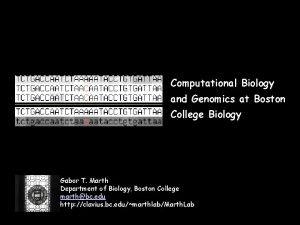 Computational Biology and Genomics at Boston College Biology