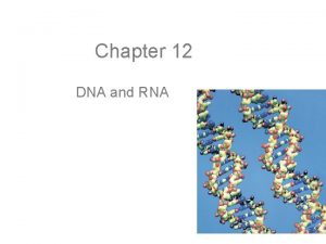Chapter 12 DNA and RNA Deoxyribonucleic DNA Acid